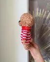Biscuit red 2.webp