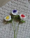 Thai rose all.webp
