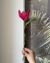 Open tulip 6.webp