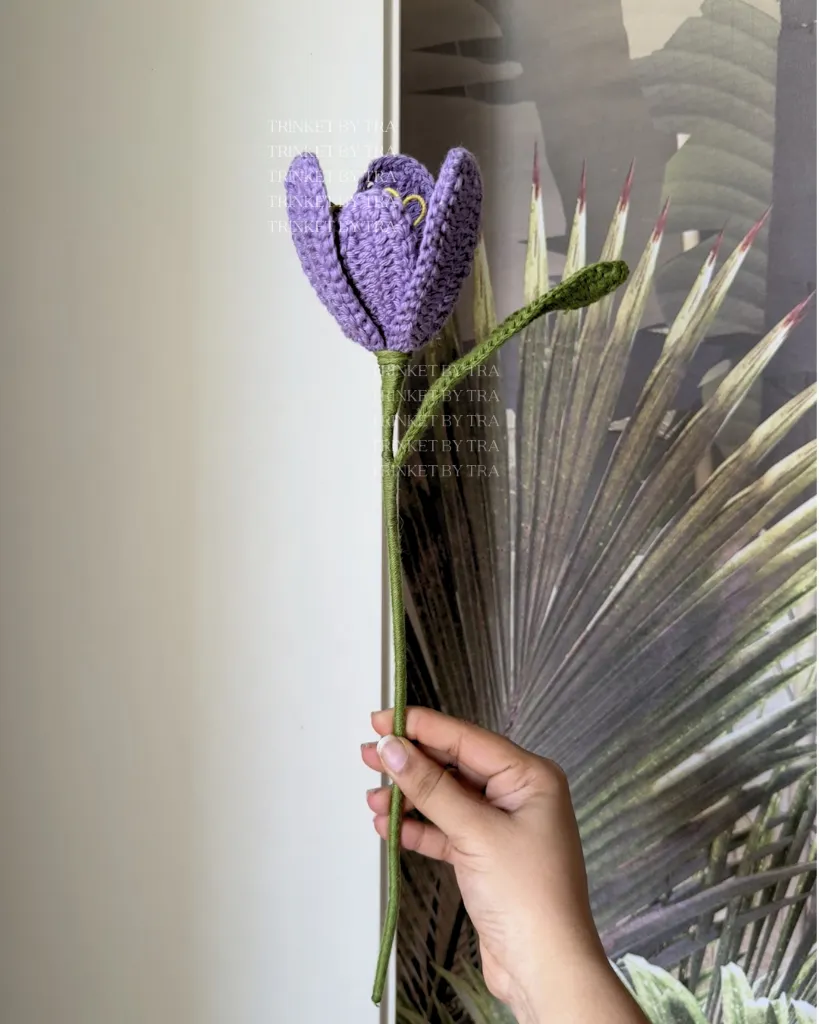 Open tulip 12.webp