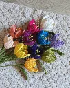 Open tulip all 2.webp
