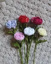 Rose all 1.webp