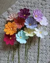 Cosmos all 1.webp
