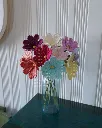 Cosmos all 4.webp