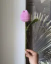 Closed tulip