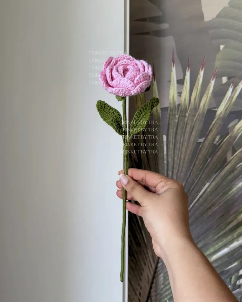 Rose (Baby pink)