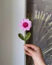 Mini daisy