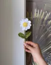 Mini daisy (White)