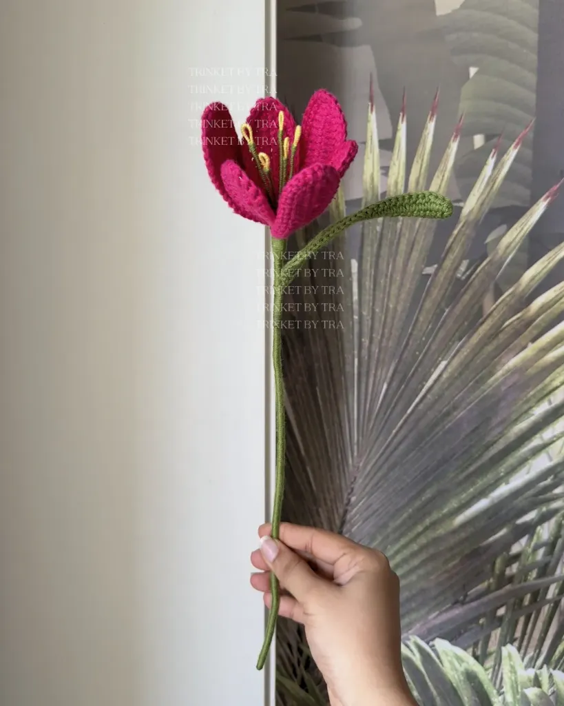 Open tulip (Hot pink)