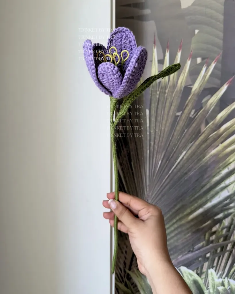 Open tulip (Lavender)