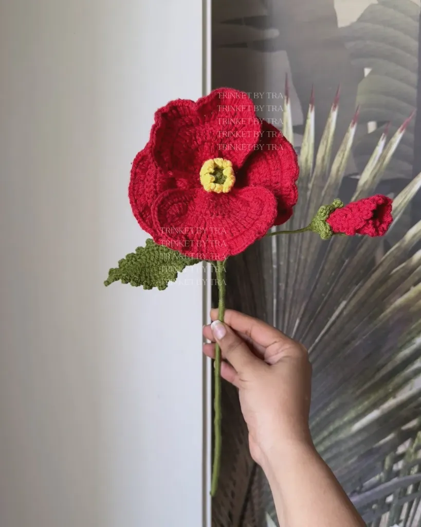 Corn poppy with bud