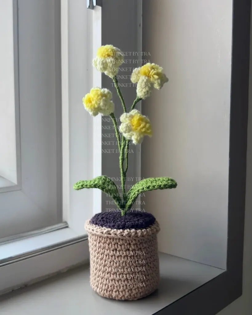 Jinsi pot