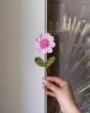 Mini daisy