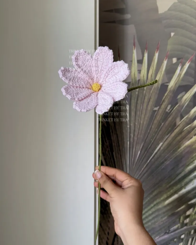 Cosmos (Baby pink)