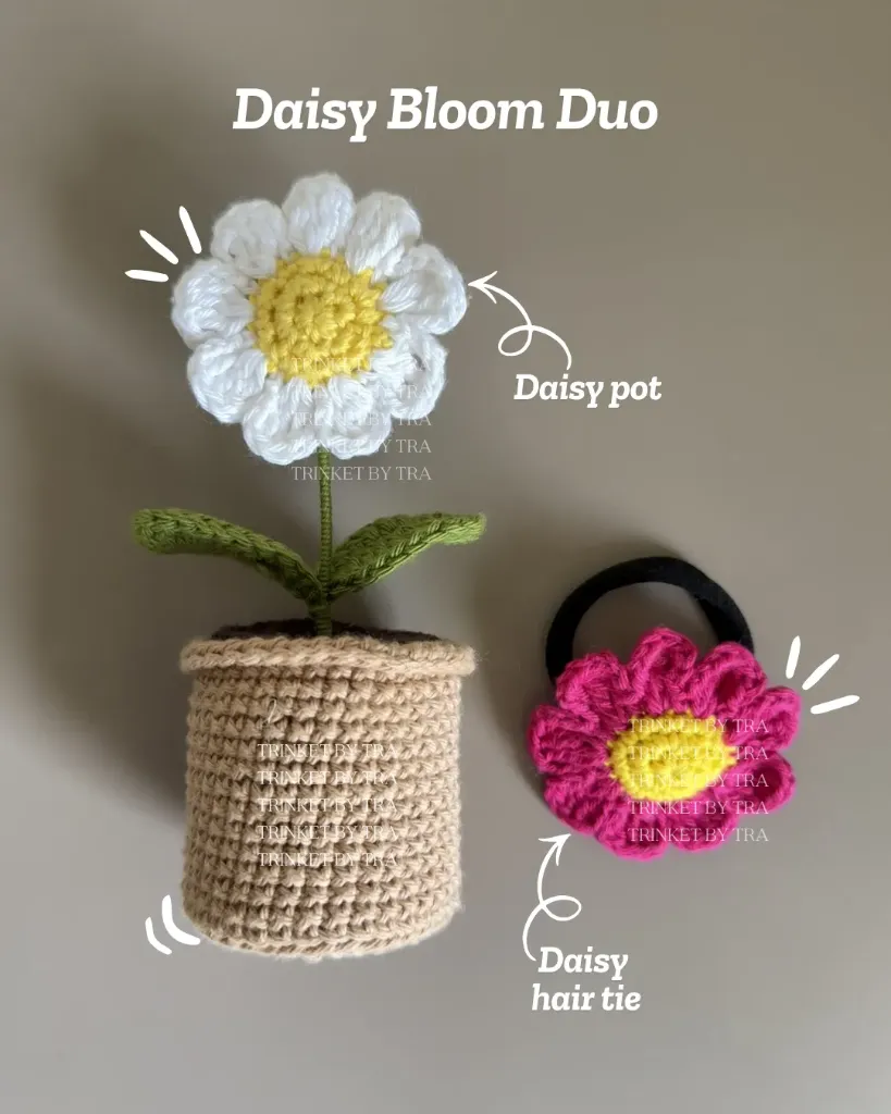 Daisy bloom duo