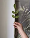 Small leaf stick