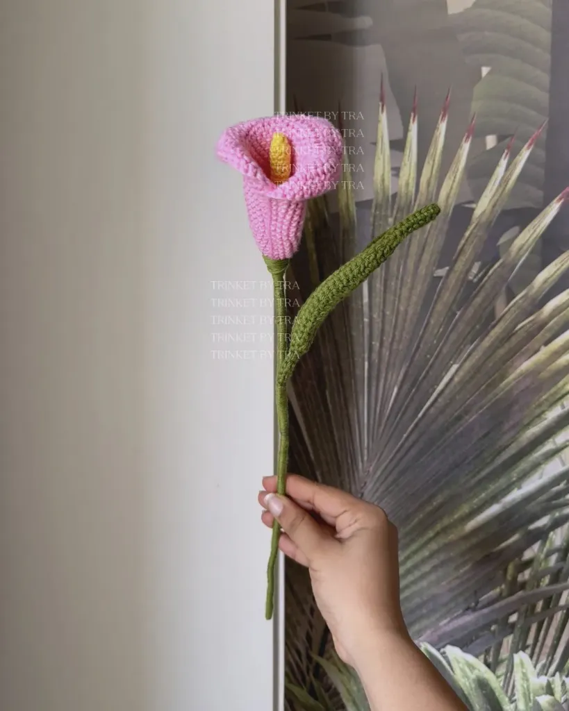 Calla lily (Baby pink)